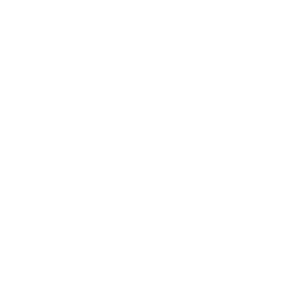 franchise investing